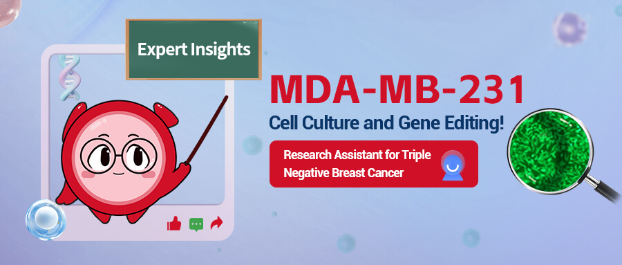 Easily Master MDA-MB-231 Cell Culture and Gene Editing