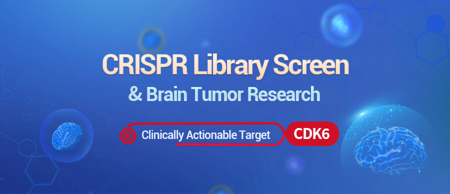 Potential Clinical Targets for Gliomas Using CRISPR Libraries