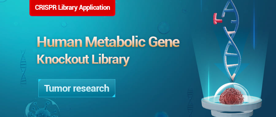 Human Metabolic Gene Knockout Library Makes a Big Impact in Tumor Research