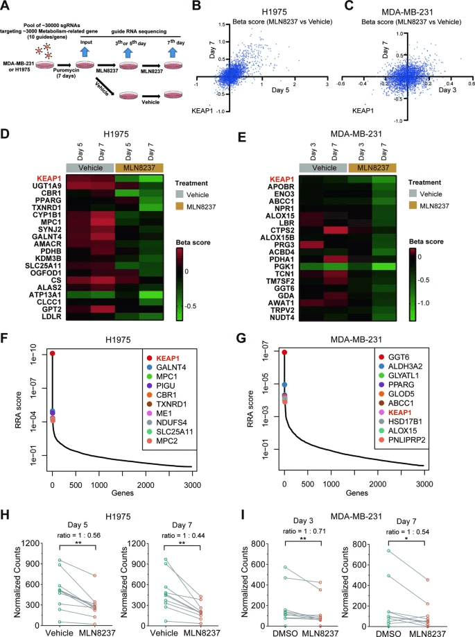 KEAP1 Is a Significant Negative Selection Gene for AURKA Inhibition.