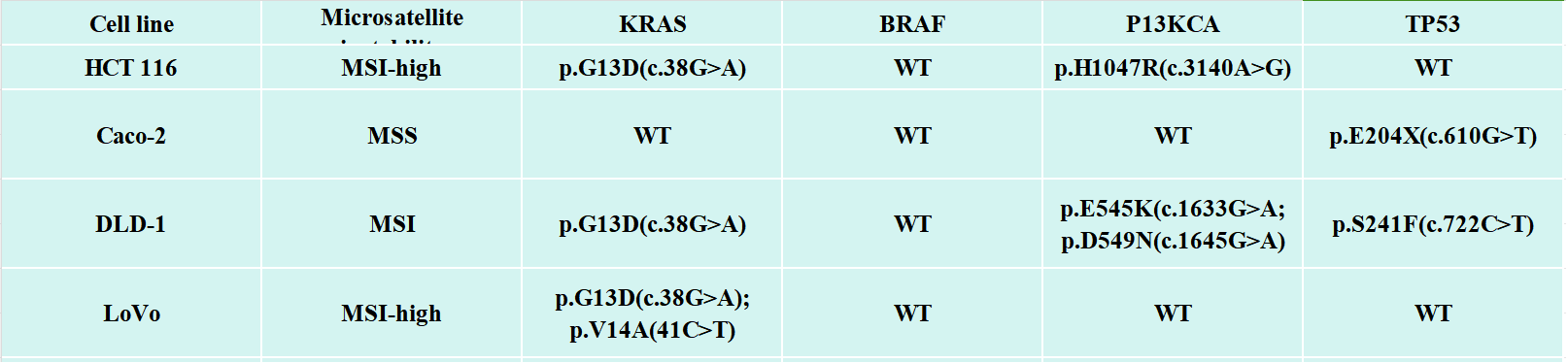 Molecular characteristics of different CRC cell lines