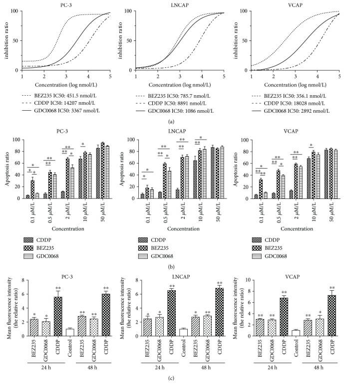 BEZ235 and GDC-0068 reduce proliferation and induce apoptosis in PC cells more effectively than that in CDDP.