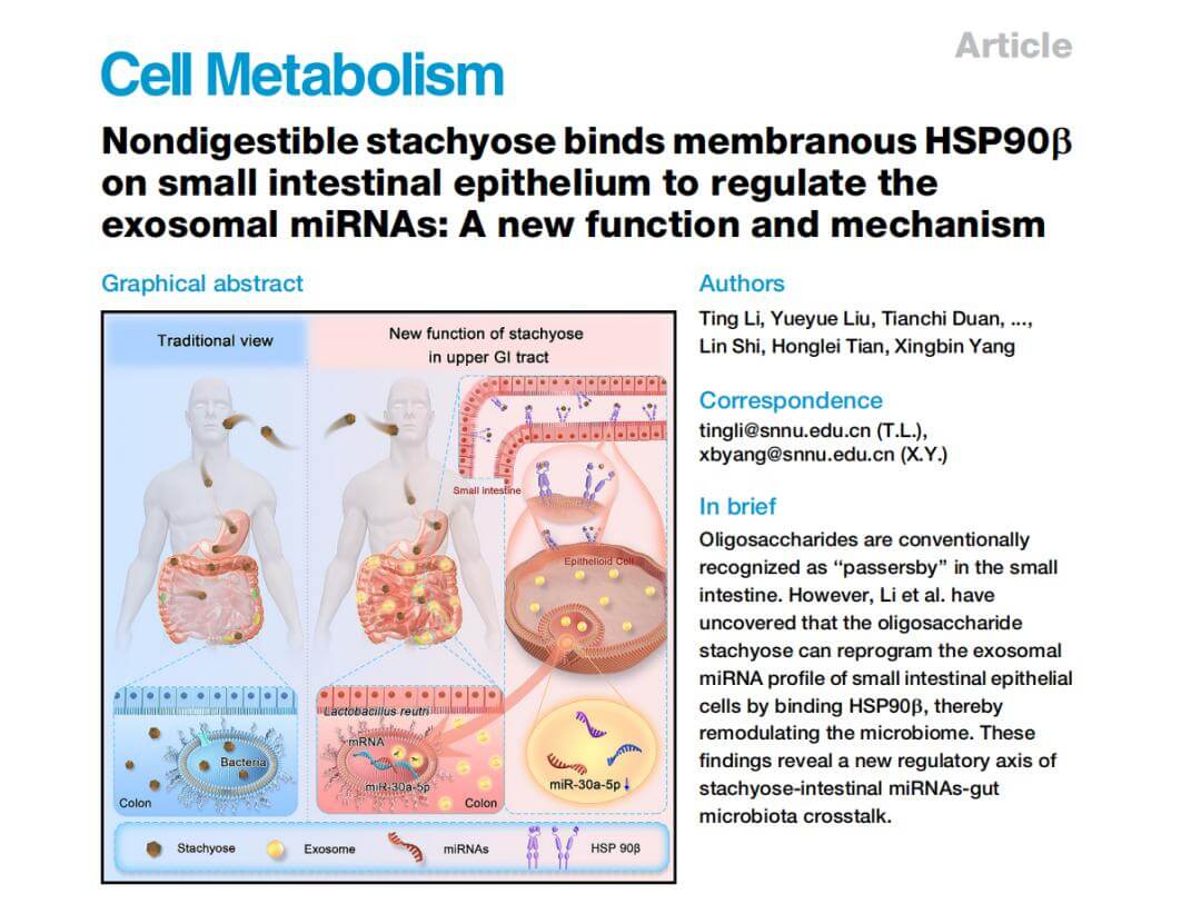 cell metabolism