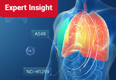 Discovering Common Cell Models Used in Lung Cancer Research!