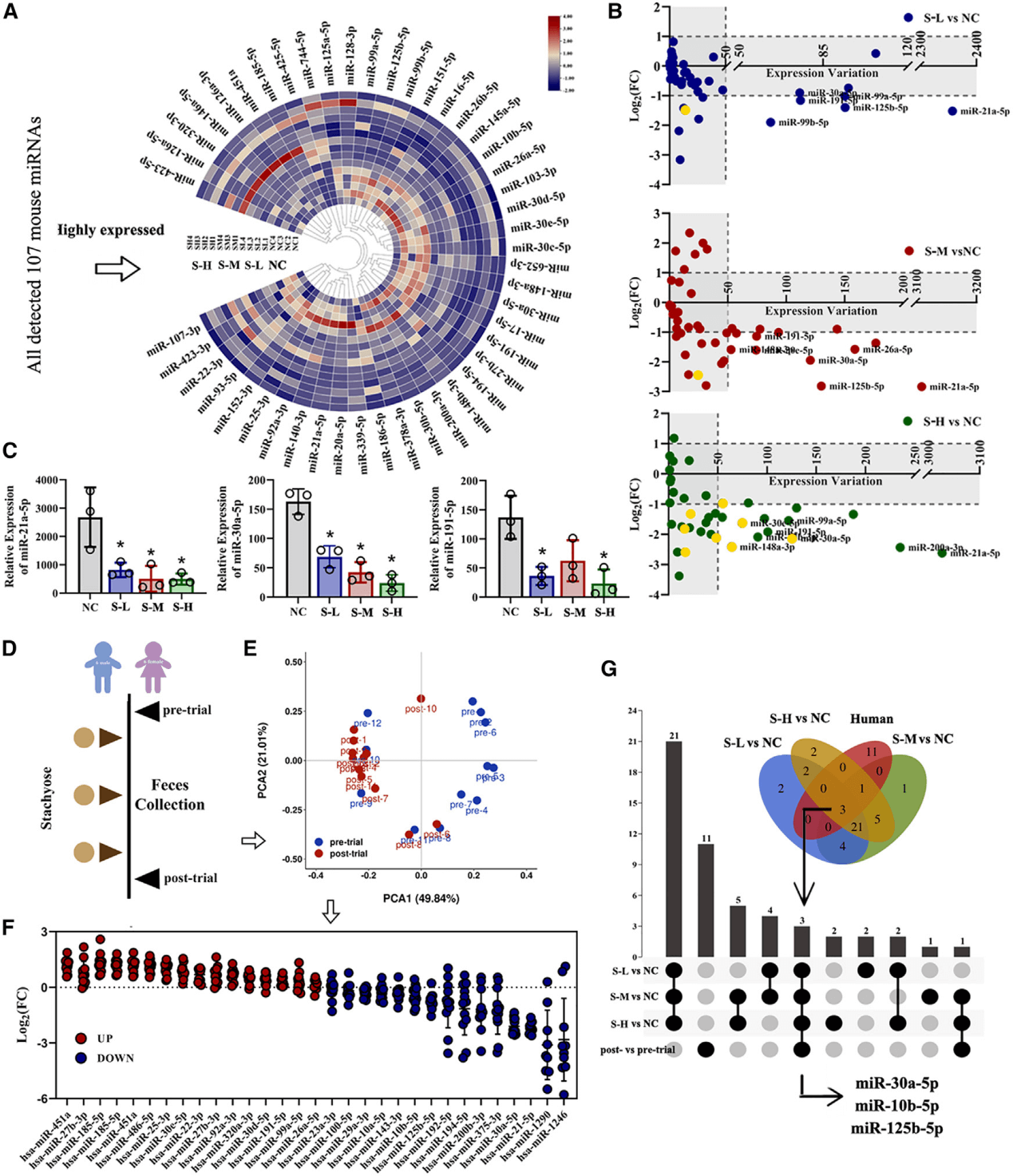 Stachyose reconstitutes fecal miRNA profiles in mice and humans