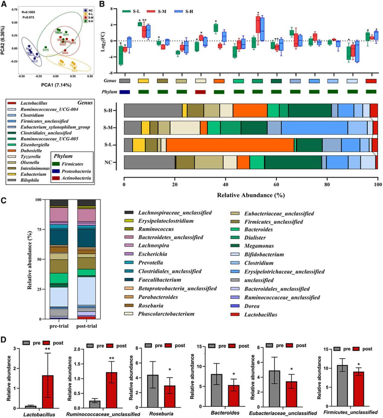 Stachyose shapes the gut microbiota in mice and human