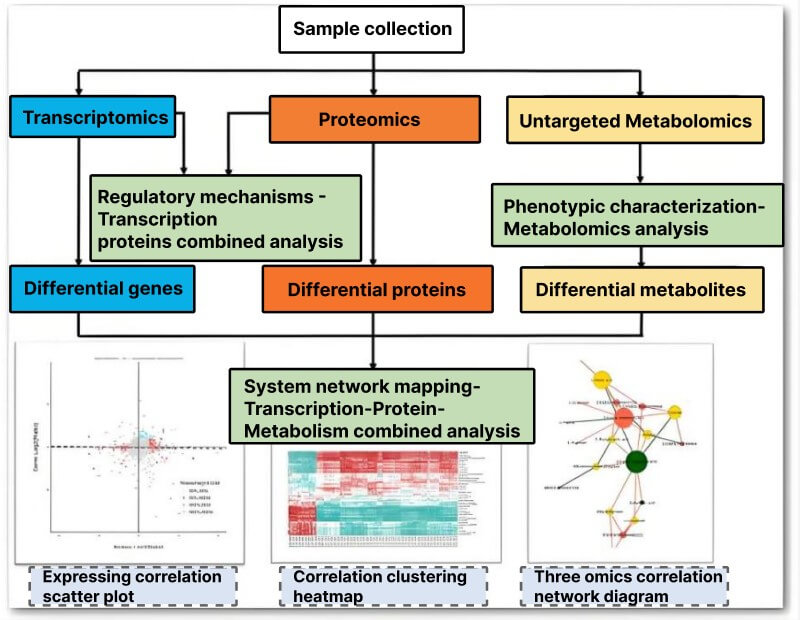 Traditional omics methodologies for target screening