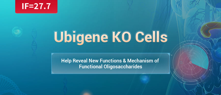 Ubigene KO Cells Help Reveal New Functions & Mechanism of Functional Oligosaccharides(FOs)