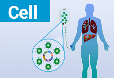 Cell Landmark Study: A New Oncolytic Virus Therapy Effectively Controls Disease Progression in 90% of Advanced Cancer Cas