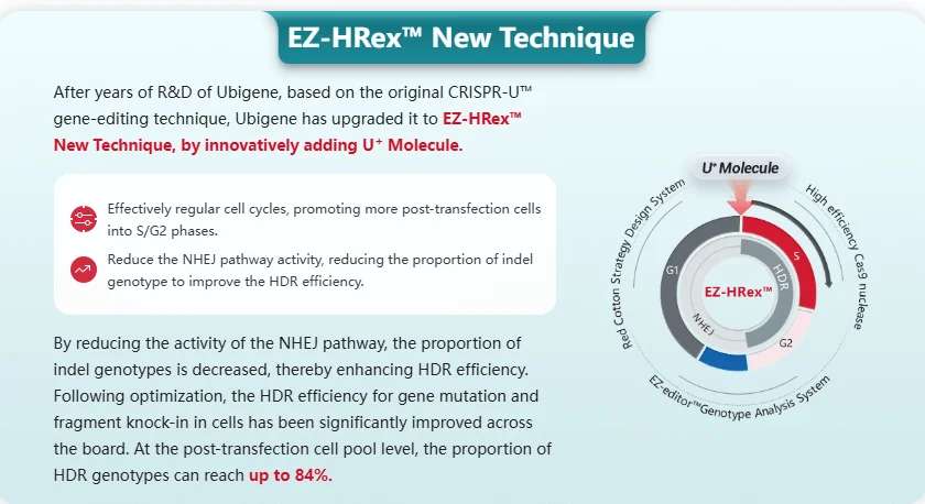 HDR enhancement platform - EZ-HRex™ Technology