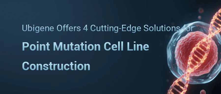 How to Construct a CRISPR Knockout (KO) Cell Line