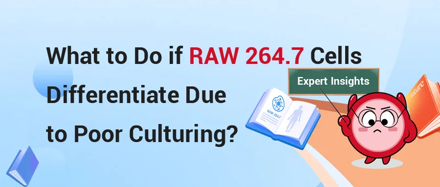 RAW 264.7 Cells Culture Protocol - Prevent Differentiation