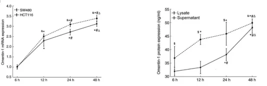 sw480 for potential tumor diagnosis