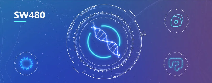 sw480