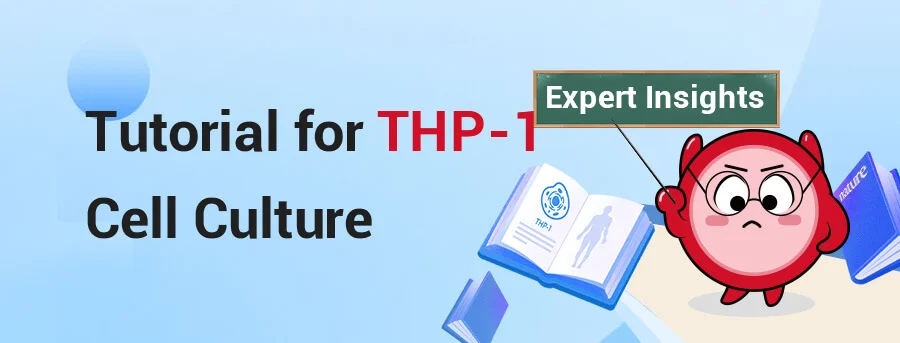 THP-1 Cell Culture Tips