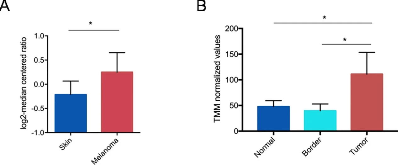 b16 f10 cell line application: Gene expression analysis of PTGS2